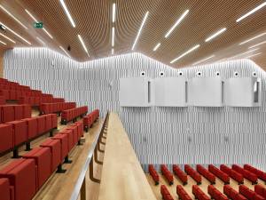 The image shows the interior of a large auditorium in a modern building. The seating is arranged in various sections and floors, with rows of chairs facing the stage. The auditorium is currently empty, but is designed to accommodate a large number of people, making it suitable for a variety of events and conferences. In the background, the white wall shows 4 simultaneous translation booths facing the stage. The architecture and interior design are impressive, highlighting the attention to detail and the use of natural light, which creates a welcoming and comfortable atmosphere.